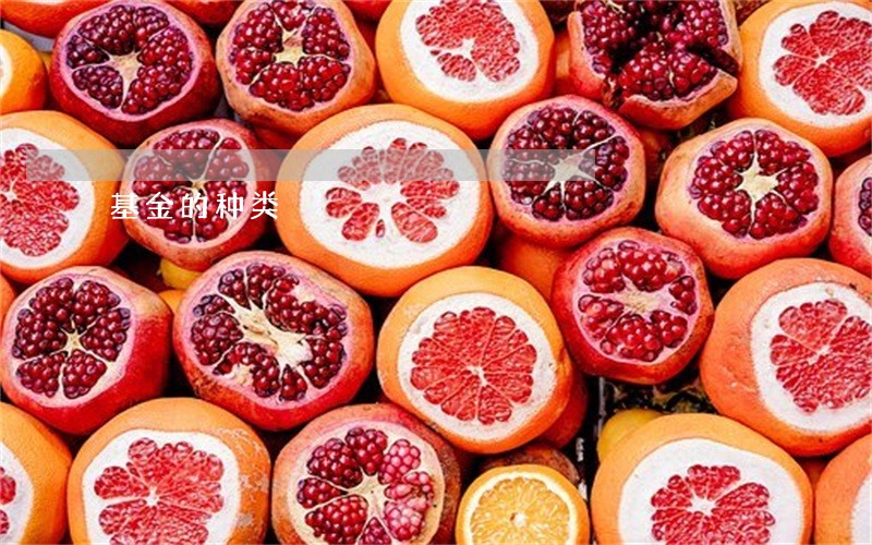 基金的种类