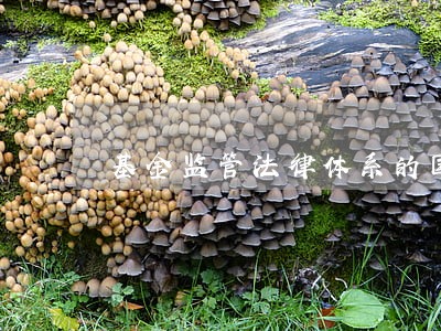 基金监管法律体系的国际比较 基金监管法律体系的国际比较