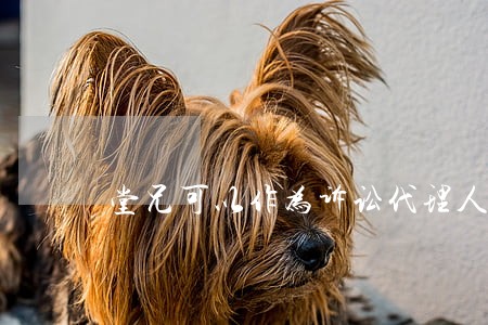 堂兄可以作为诉讼代理人吗