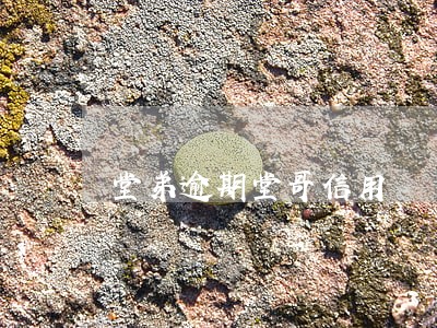 堂弟逾期堂哥信用