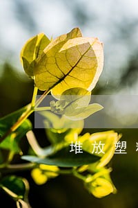 堆放塑料违法 堆放塑料违法