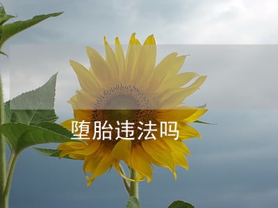 堕胎违法吗