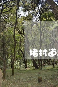 堵村道路的违法 堵村道路的违法