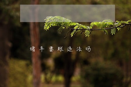 堵车要账违法吗 堵车要账违法吗