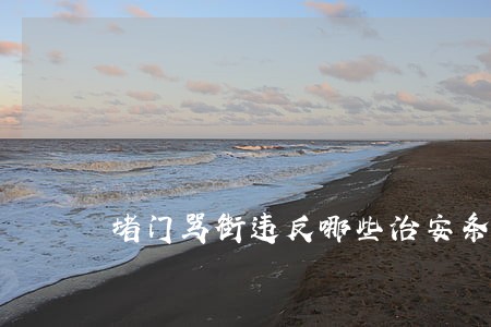 堵门骂街违反哪些治安条例 堵门骂街违反哪些治安条例