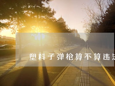 塑料子弹枪算不算违法 塑料子弹枪算不算违法
