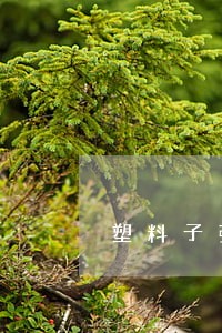 塑料子弹玩具枪违法吗 塑料子弹玩具枪违法吗