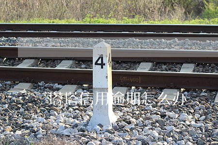 塔塔信用逾期怎么办 塔塔信用逾期怎么办