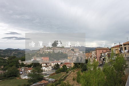 塘厦交通违法/2023012629782 塘厦交通违法/2023012629782