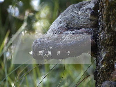 塘厦律师行 塘厦律师行