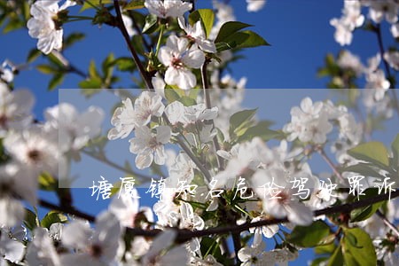 塘厦镇知名危险驾驶罪诉讼律师 塘厦镇知名危险驾驶罪诉讼律师