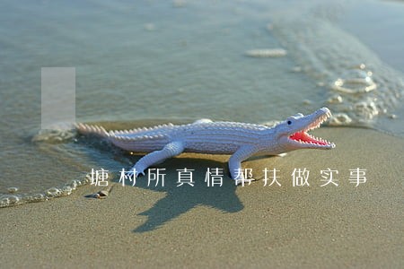 塘村所真情帮扶做实事