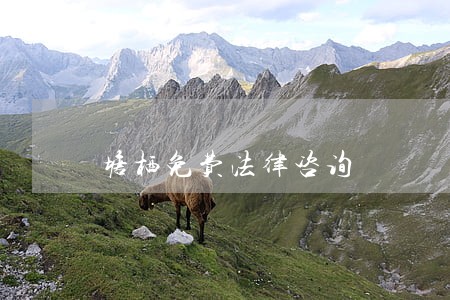 塘栖免费法律咨询 塘栖免费法律咨询
