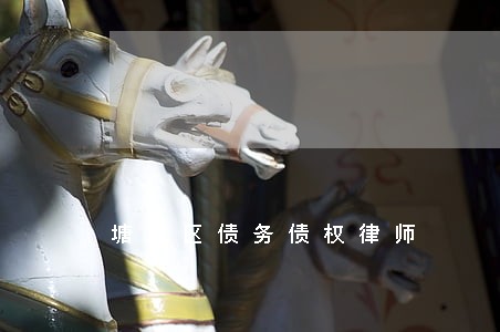 塘沽区债务债权律师 塘沽区债务债权律师