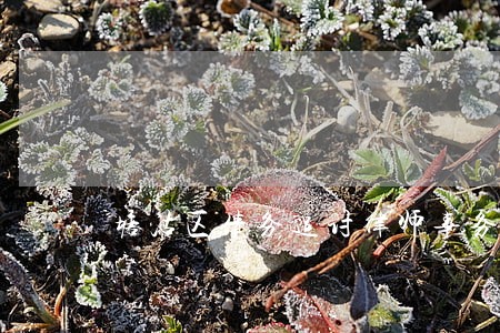 塘沽区债务追讨律师事务所