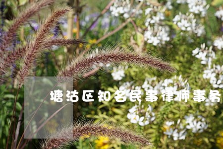 塘沽区知名民事律师事务所排名 塘沽区知名民事律师事务所排名
