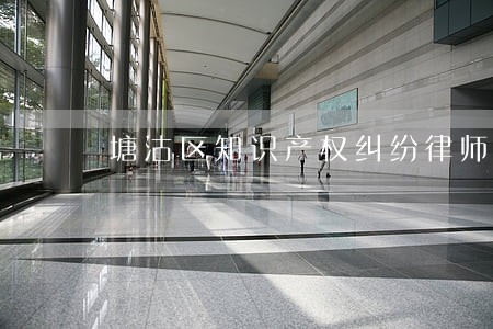 塘沽区知识产权纠纷律师 塘沽区知识产权纠纷律师