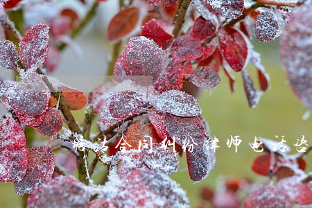 塘沽合同纠纷律师电话咨询 塘沽合同纠纷律师电话咨询