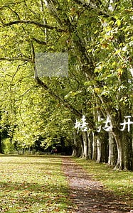 塘沽开发区房地产律师 塘沽开发区房地产律师