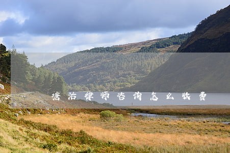 塘沽律师咨询怎么收费 塘沽律师咨询怎么收费