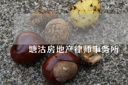 塘沽房地产律师事务所 塘沽房地产律师事务所