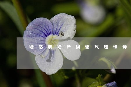 塘沽房地产纠纷代理律师 塘沽房地产纠纷代理律师