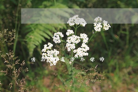 塘沽街道涉外律师 塘沽街道涉外律师