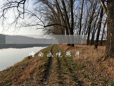 塘西法院照片 塘西法院照片