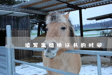 填写离婚协议书的时间 填写离婚协议书的时间