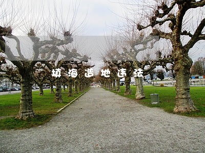 填海造地违法 填海造地违法