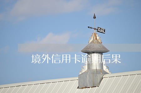 境外信用卡逾期后果
