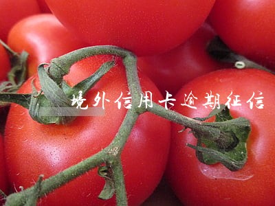 境外信用卡逾期征信 境外信用卡逾期征信