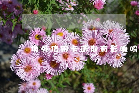 境外信用卡逾期有影响吗 境外信用卡逾期有影响吗