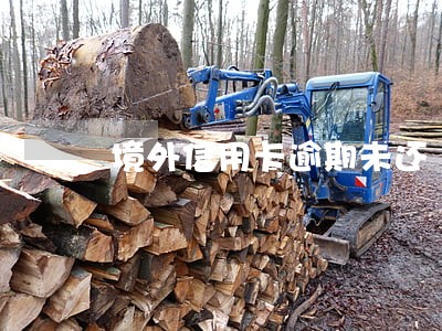 境外信用卡逾期未还