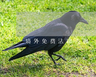 境外免费法律咨询 境外免费法律咨询