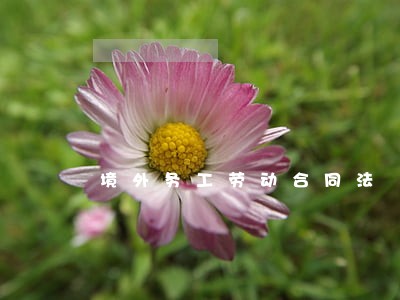境外务工劳动合同法 境外务工劳动合同法