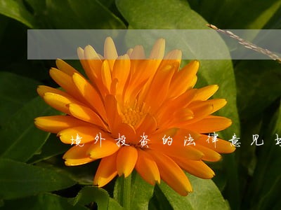 境外投资的法律意见书 境外投资的法律意见书