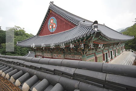 境外旅游取消法规 境外旅游取消法规
