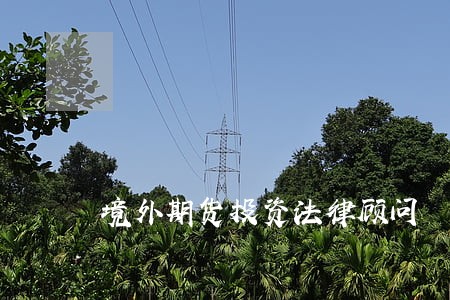 境外期货投资法律顾问 境外期货投资法律顾问