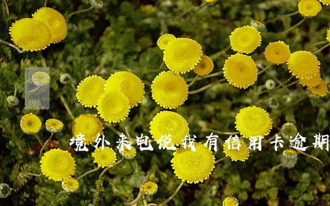 境外来电说我有信用卡逾期 境外来电说我有信用卡逾期