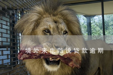 境外来电防说贷款逾期 境外来电防说贷款逾期