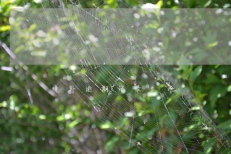 境外逾期记录5年 境外逾期记录5年