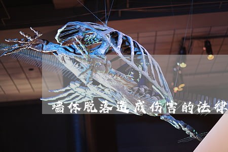 墙体脱落造成伤害的法律关系