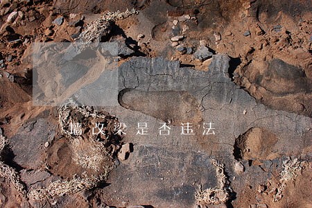 墙改梁是否违法