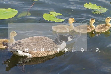 增值税0申报逾期一天 增值税0申报逾期一天