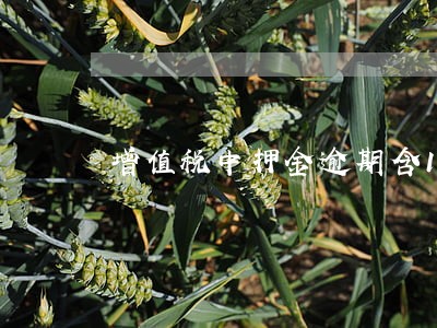 增值税中押金逾期含1年吗 增值税中押金逾期含1年吗