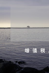 增值税入刑法