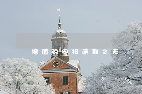 增值税申报逾期2天 增值税申报逾期2天