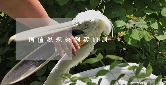 增值税规条例实细则