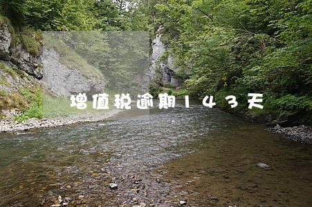 增值税逾期143天 增值税逾期143天
